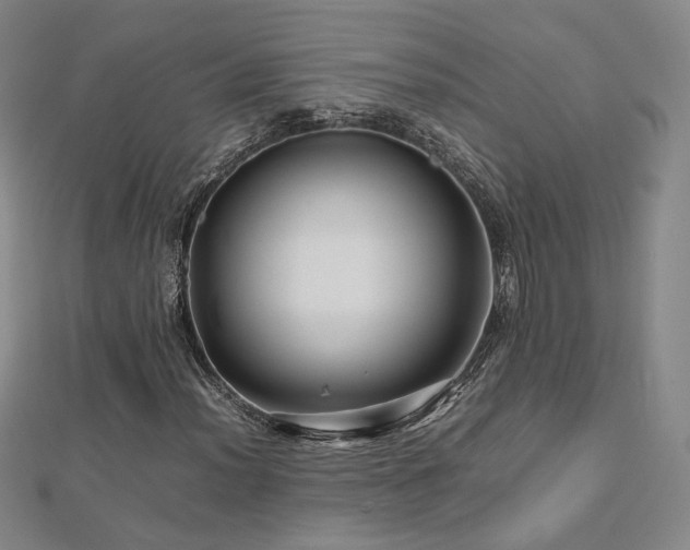 X0000112811012200908211139