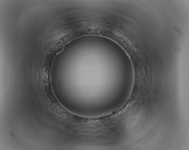 X0000112811013200908211139