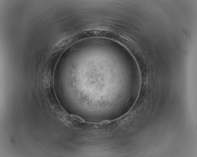 X0000112811014200908211139