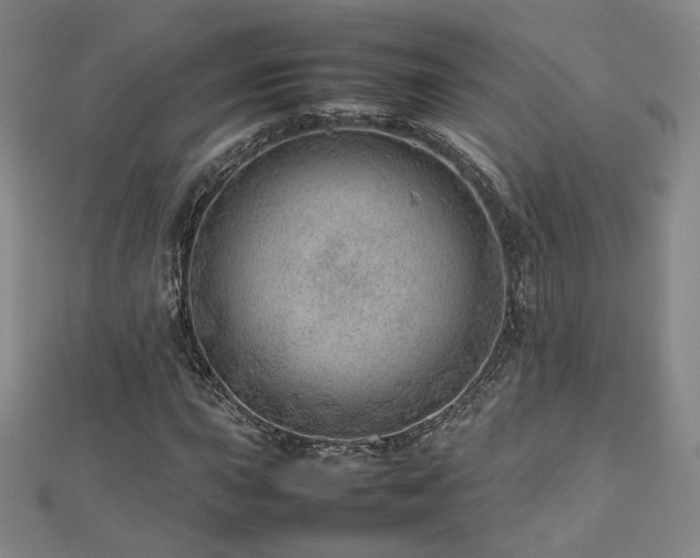 X0000112811015200908211139