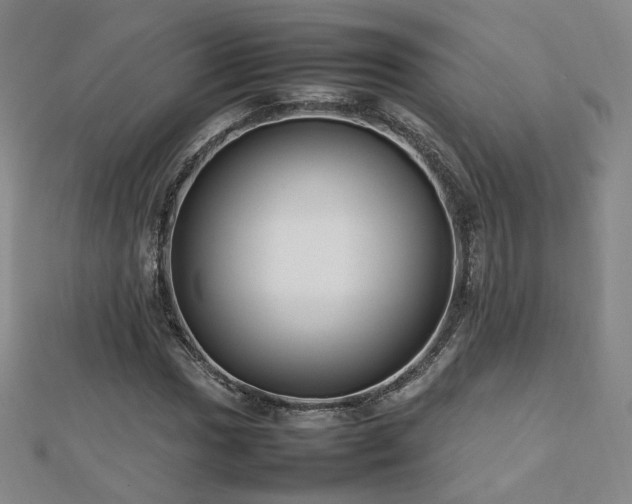 X0000112811017200908211139