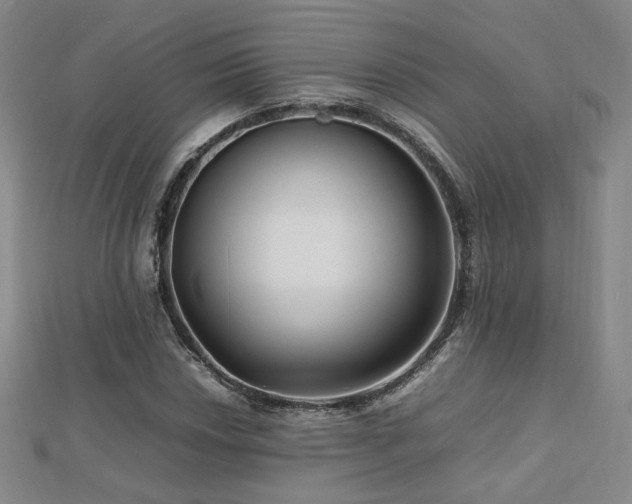 X0000112811018200908211139