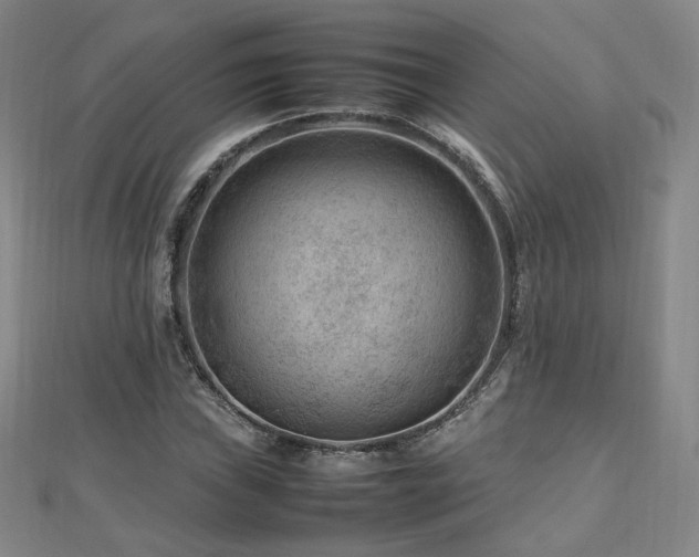 X0000112811019200908211139