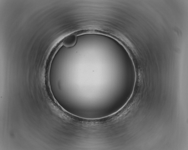 X0000112811020200908211139