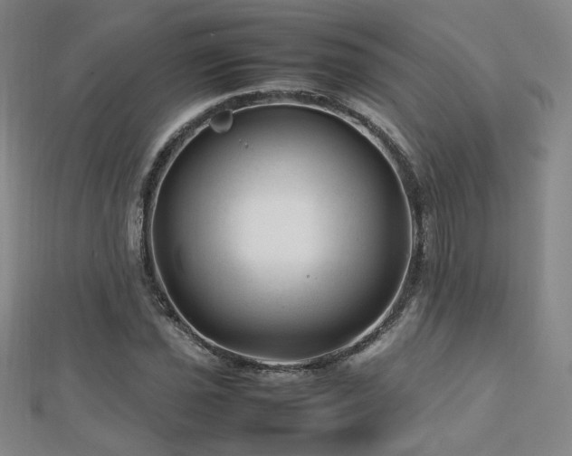 X0000112811021200908211139