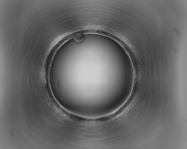 X0000112811022200908211139