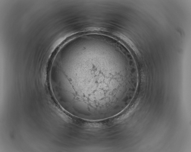 X0000112811023200908211139