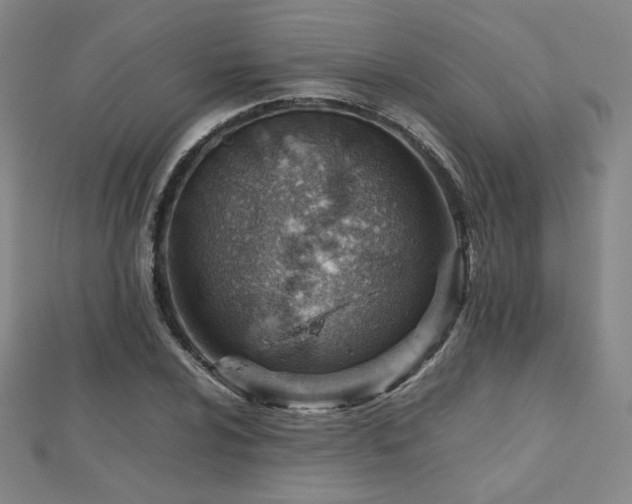 X0000112811024200908211139
