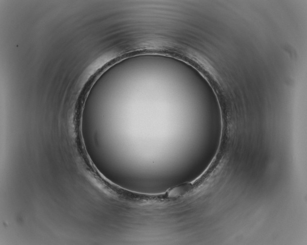 X0000112811026200908211139