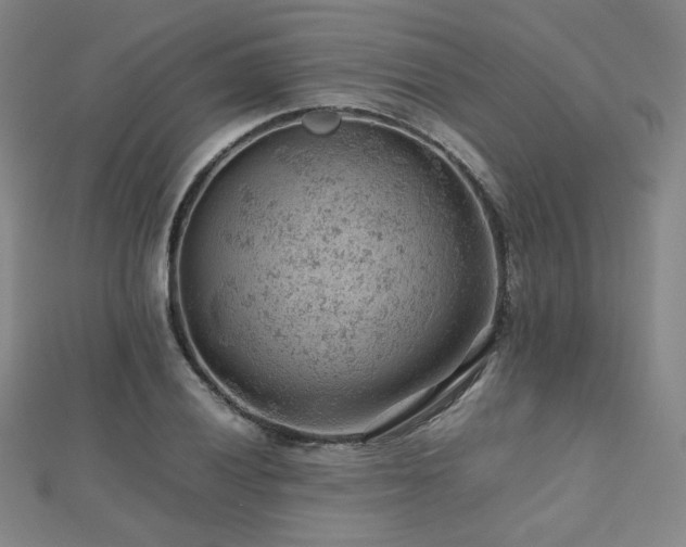 X0000112811028200908211139