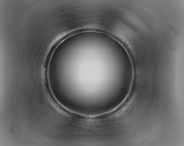 X0000112811029200908211139