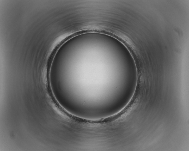 X0000112811030200908211139