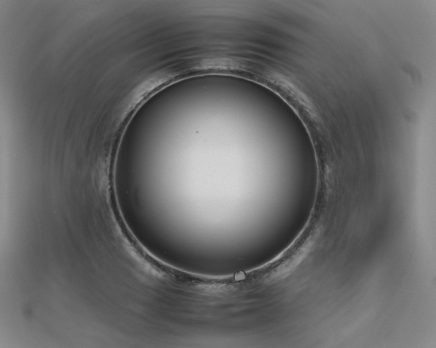 X0000112811033200908211139