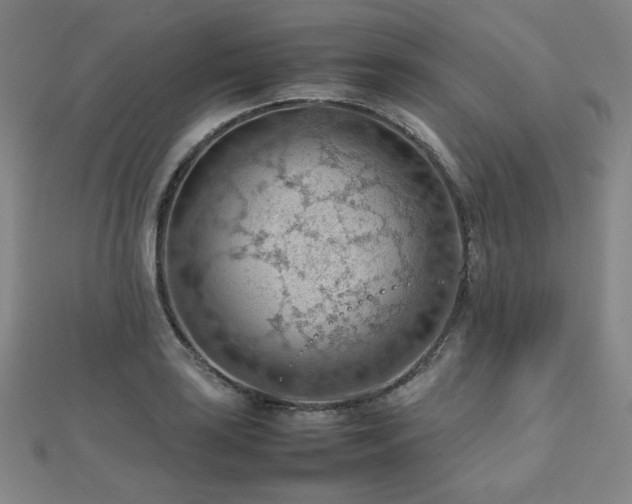X0000112811035200908211139