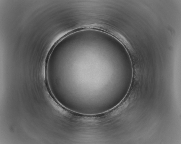 X0000112811036200908211140