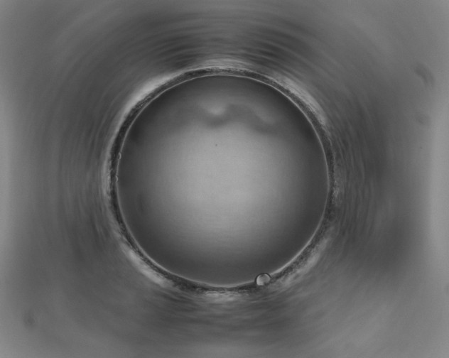 X0000112811037200908211140