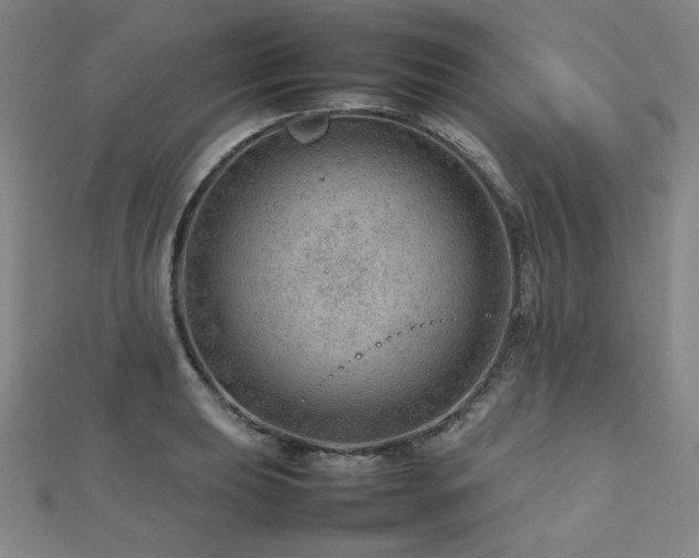 X0000112811039200908211140
