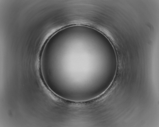 X0000112811040200908211140