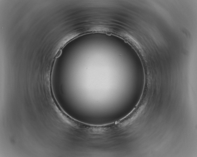 X0000112811041200908211140