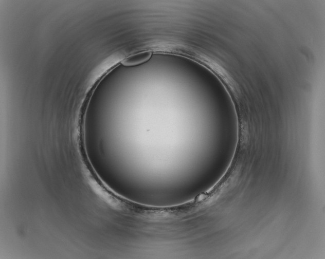 X0000112811042200908211140