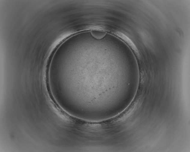 X0000112811043200908211140