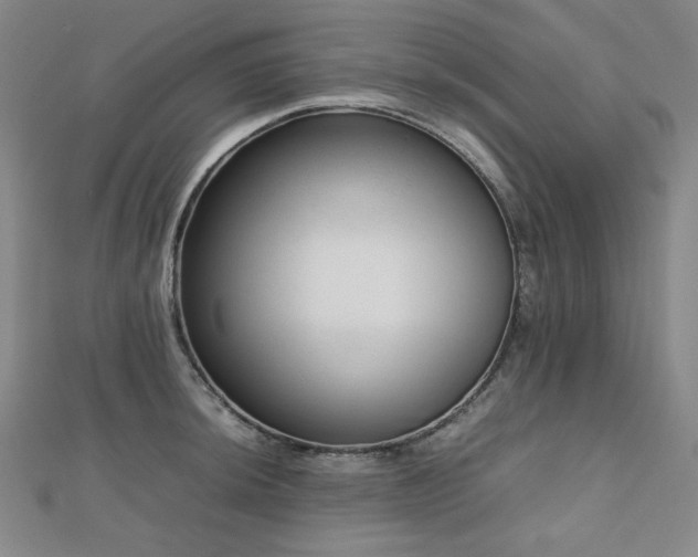 X0000112811044200908211140
