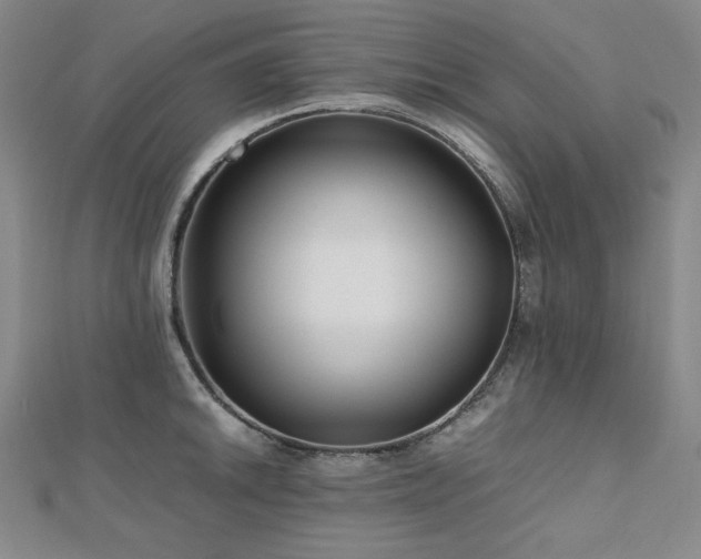 X0000112811046200908211140