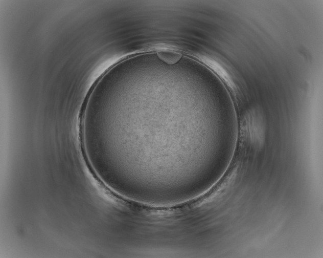 X0000112811047200908211140