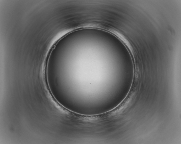 X0000112811053200908211140
