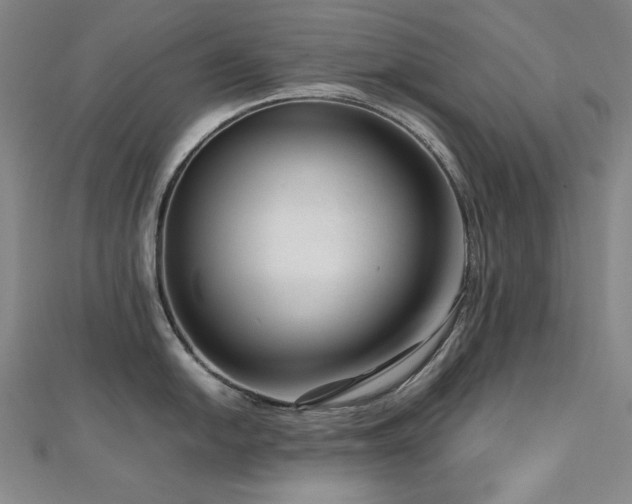 X0000112811054200908211140