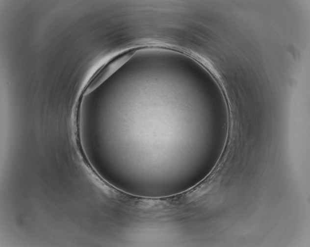 X0000112811056200908211140