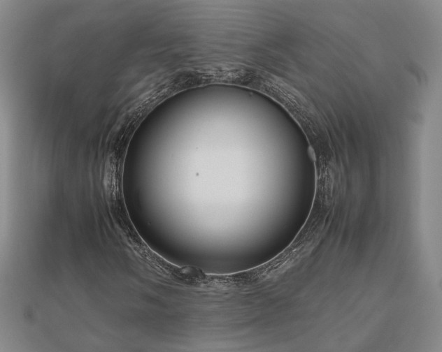 X0000112811058200908211139