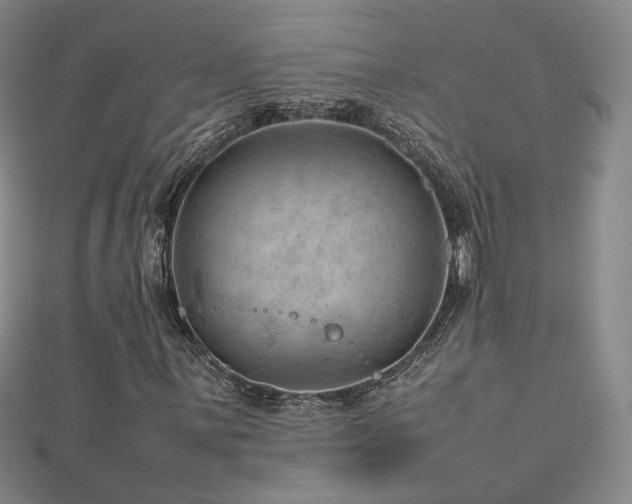 X0000112811059200908211139