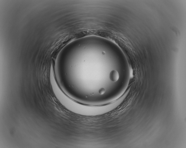 X0000112811060200908211139