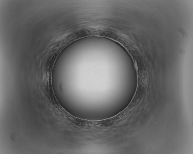 X0000112811061200908211139