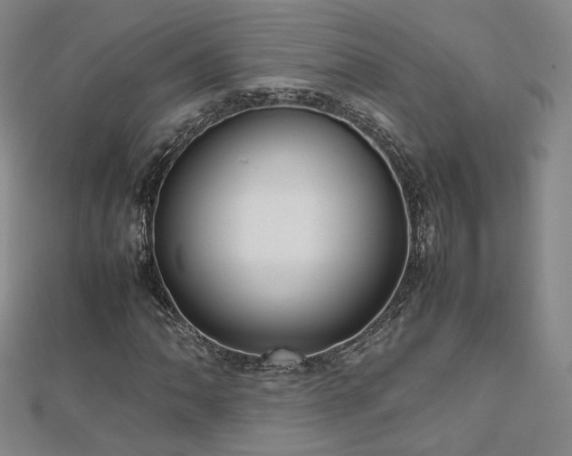 X0000112811062200908211139