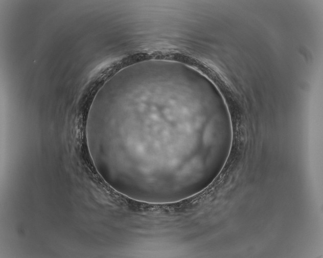 X0000112811063200908211139