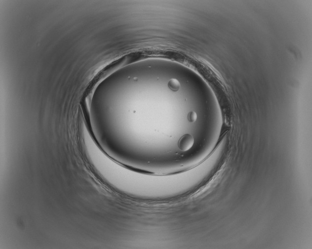 X0000112811065200908211139