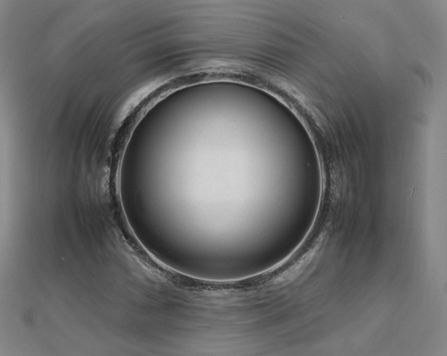 X0000112811066200908211139