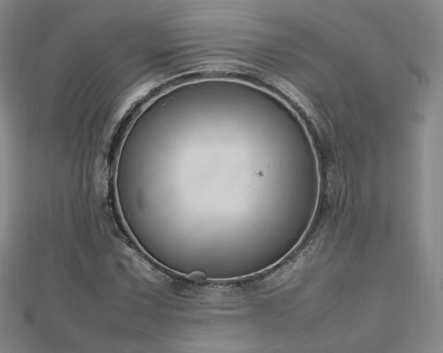 X0000112811067200908211139