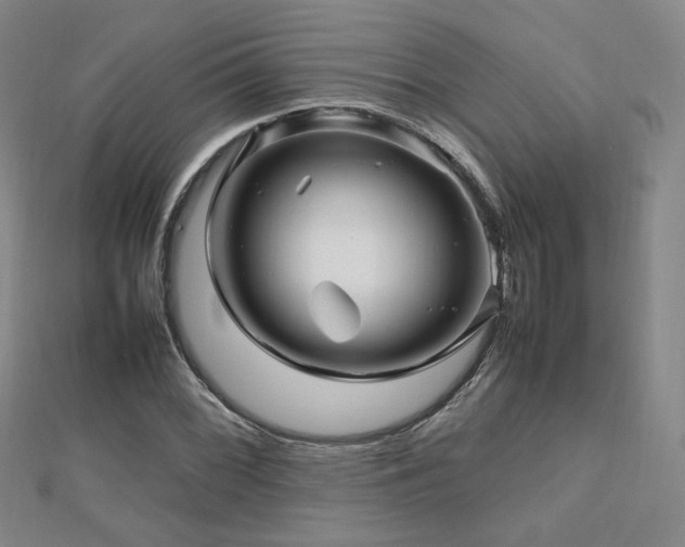X0000112811068200908211139