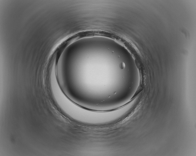 X0000112811069200908211139