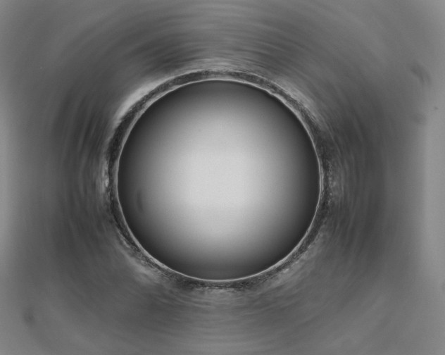 X0000112811070200908211139