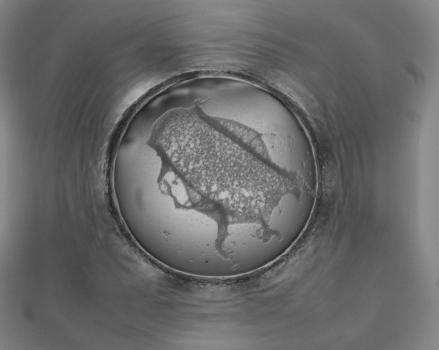X0000112811071200908211139