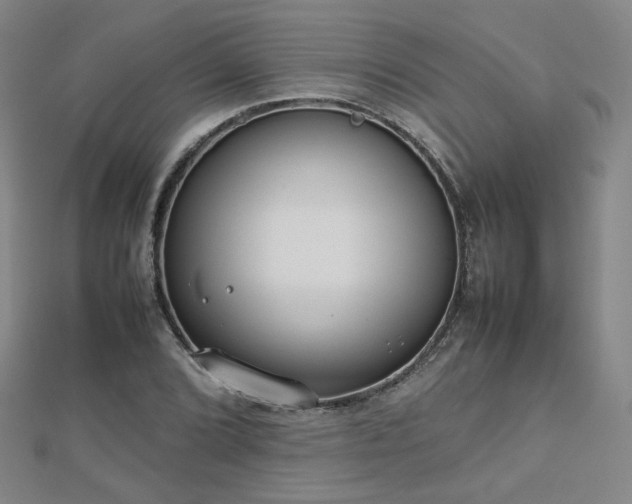 X0000112811072200908211139