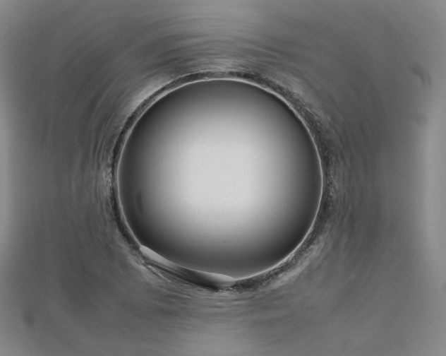 X0000112811073200908211139