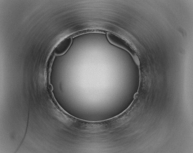 X0000112811076200908211139