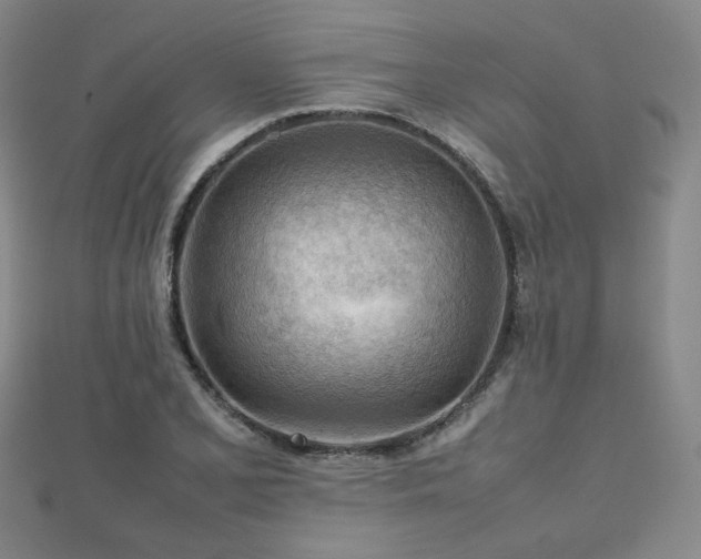 X0000112811077200908211139