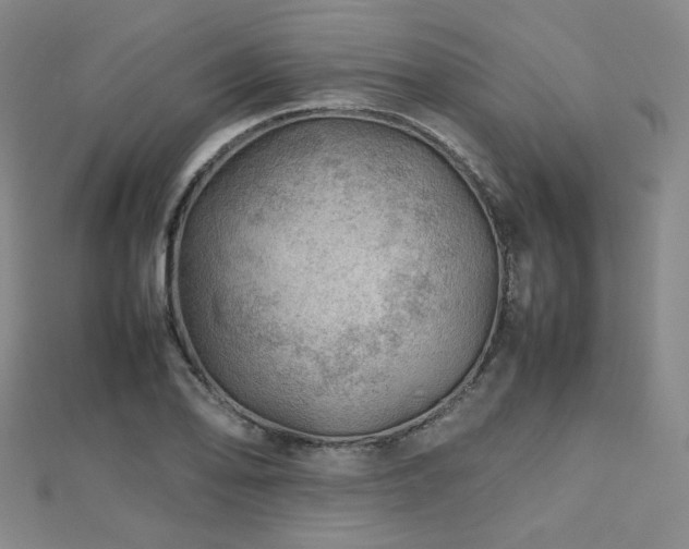 X0000112811078200908211139