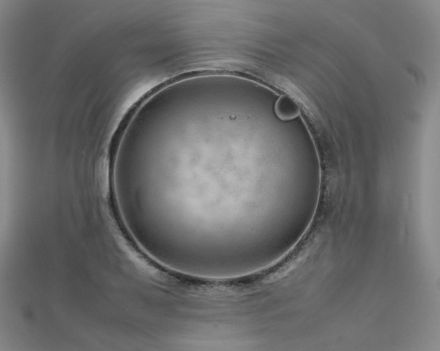 X0000112811079200908211139